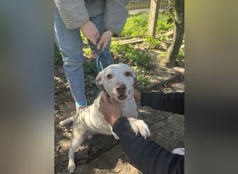 Ildike - hast du noch Platz im Herzen?