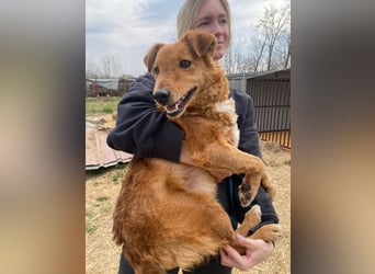 Kajla wartet auf sein Happy End