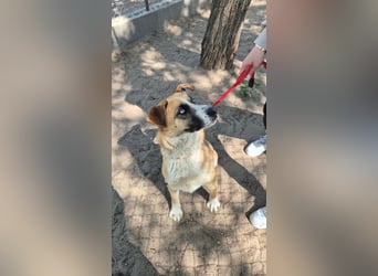 Shirley sucht seinen Platz