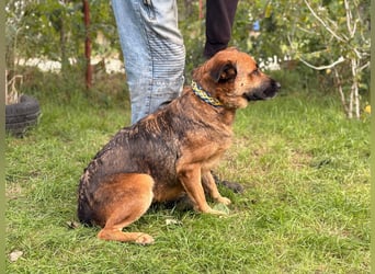 Mery sucht ihre Menschen