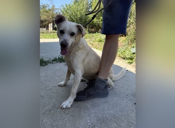 Pepe sucht großes Glück