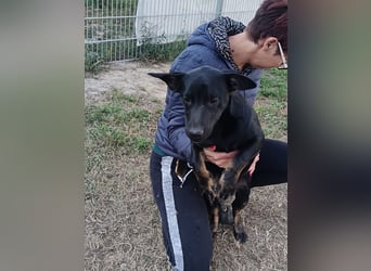 Frederico sucht einen Sportpartner