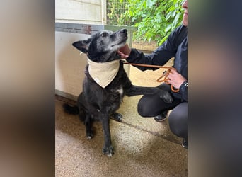 Patrik sucht einen ruhigen Platz