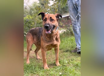 Mery sucht ihre Menschen