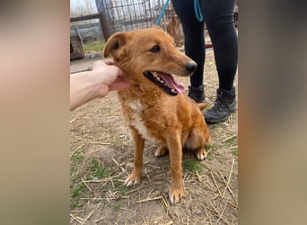 Kajla wartet auf sein Happy End