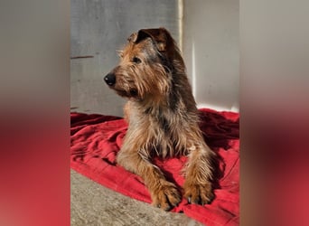 HAPPY ❤️ Name = Programm, Pflegefamilie Köln
