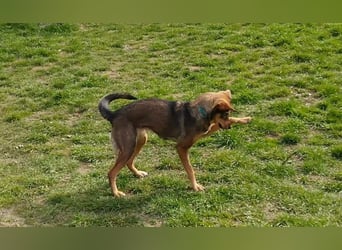 KINUSHI soll endlich entgültig ankommen