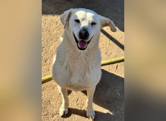 ARIMA sucht ihren Platz für's Leben