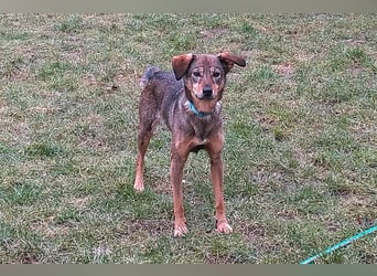 KINUSHI soll endlich entgültig ankommen