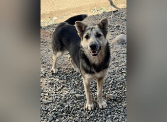 MALAIKA - manche Engel haben Flügel