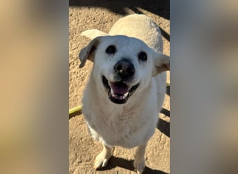 ARIMA sucht ihren Platz für's Leben