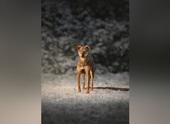 KINUSHI soll endlich entgültig ankommen