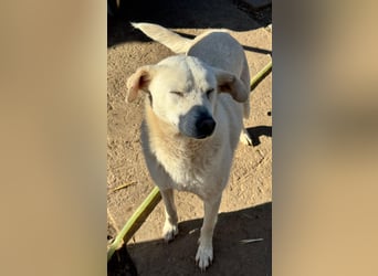 ARIMA sucht ihren Platz für's Leben