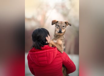 KINUSHI soll endlich entgültig ankommen