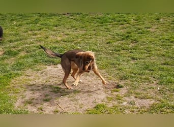 KINUSHI soll endlich entgültig ankommen