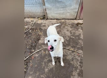 ARIMA sucht ihren Platz für's Leben