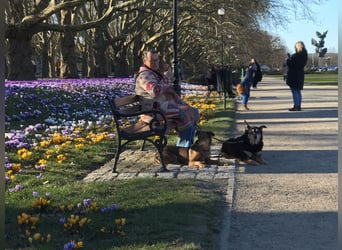 KINUSHI soll endlich entgültig ankommen