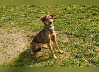 KINUSHI soll endlich entgültig ankommen