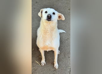 ARIMA sucht ihren Platz für's Leben