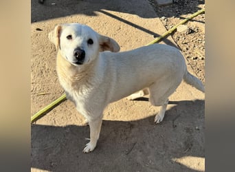 ARIMA sucht ihren Platz für's Leben