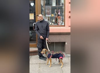 KINUSHI soll endlich entgültig ankommen