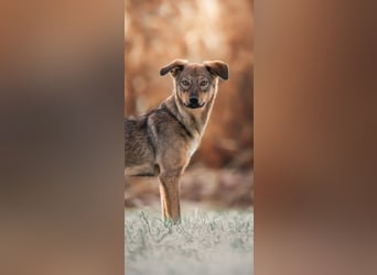 KINUSHI soll endlich entgültig ankommen