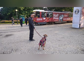 KINUSHI soll endlich entgültig ankommen