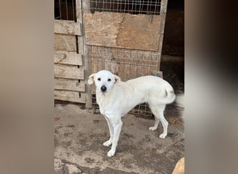 ARIMA sucht ihren Platz für's Leben