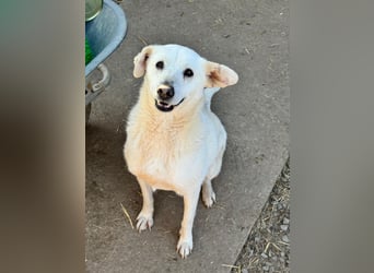 ARIMA sucht ihren Platz für's Leben