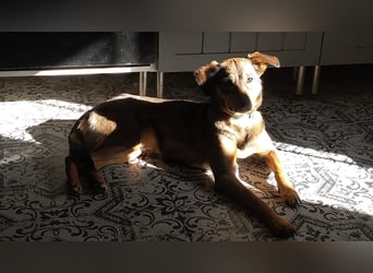 KINUSHI soll endlich entgültig ankommen