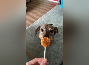 KINUSHI soll endlich entgültig ankommen