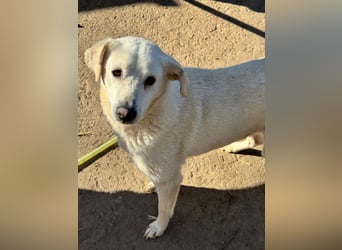 ARIMA sucht ihren Platz für's Leben