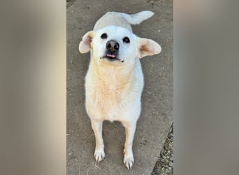 ARIMA sucht ihren Platz für's Leben