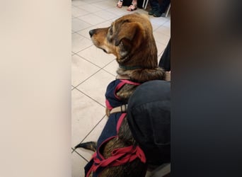 KINUSHI soll endlich entgültig ankommen