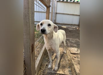 ARIMA sucht ihren Platz für's Leben