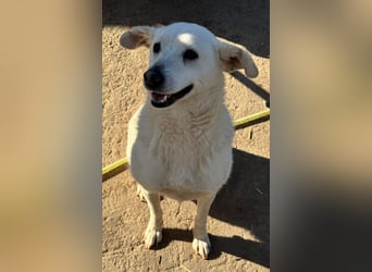 ARIMA sucht ihren Platz für's Leben