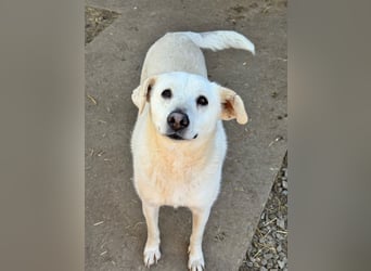 ARIMA sucht ihren Platz für's Leben