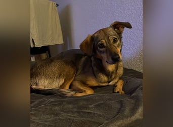 KINUSHI soll endlich entgültig ankommen