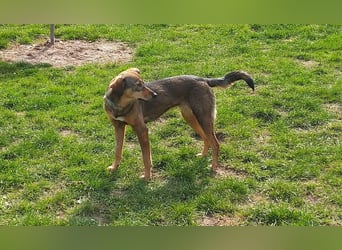 KINUSHI soll endlich entgültig ankommen