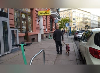 KINUSHI soll endlich entgültig ankommen