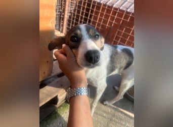 Princess, süße Maus wartet auf ihre Herzensmenschen