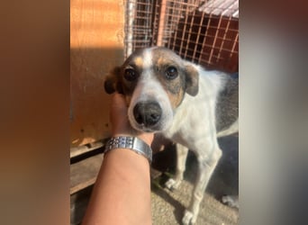 Princess, süße Maus wartet auf ihre Herzensmenschen