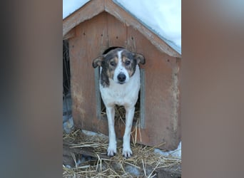 Princess, süße Maus wartet auf ihre Herzensmenschen