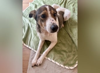 Princess, süße Maus wartet auf ihre Herzensmenschen