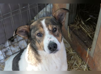 Princess, süße Maus wartet auf ihre Herzensmenschen