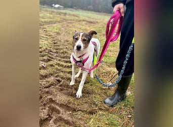 Princess, süße Maus wartet auf ihre Herzensmenschen