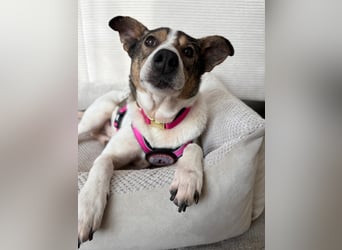 Princess, süße Maus wartet auf ihre Herzensmenschen