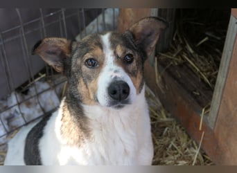 Princess, süße Maus wartet auf ihre Herzensmenschen
