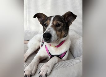 Princess, süße Maus wartet auf ihre Herzensmenschen