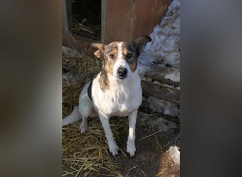 Princess, süße Maus wartet auf ihre Herzensmenschen